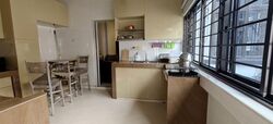 Frankel Estate (D15), Shop House #594945421